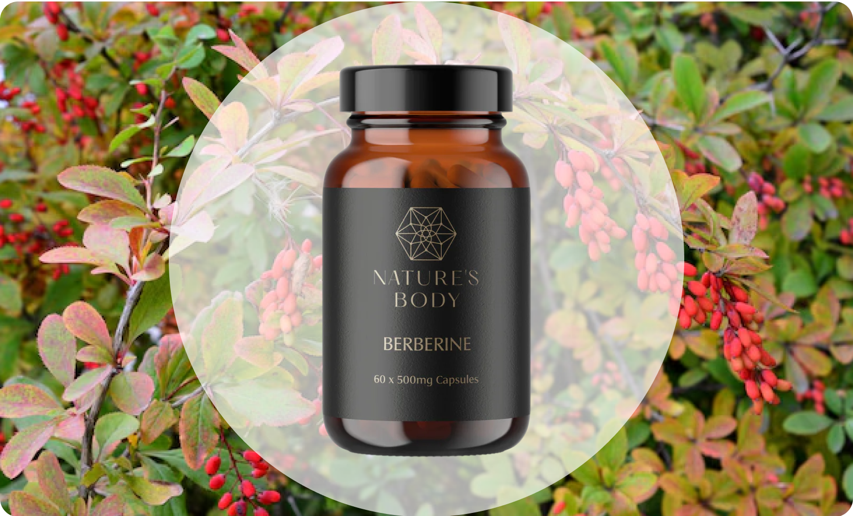 What Are Berberine Capsules?