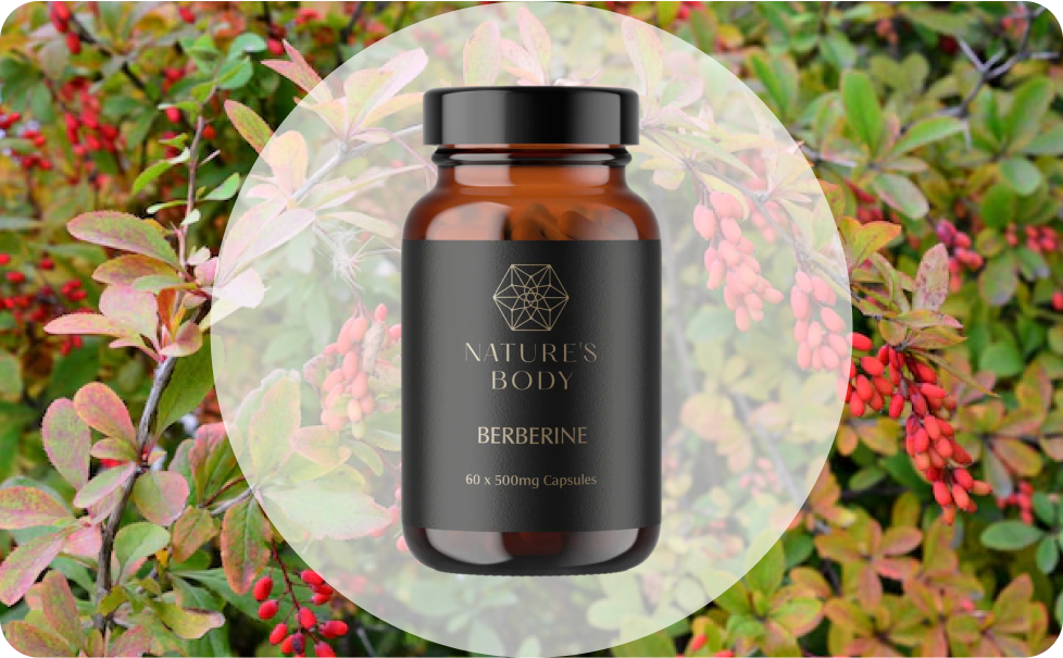 What Are Berberine Capsules?