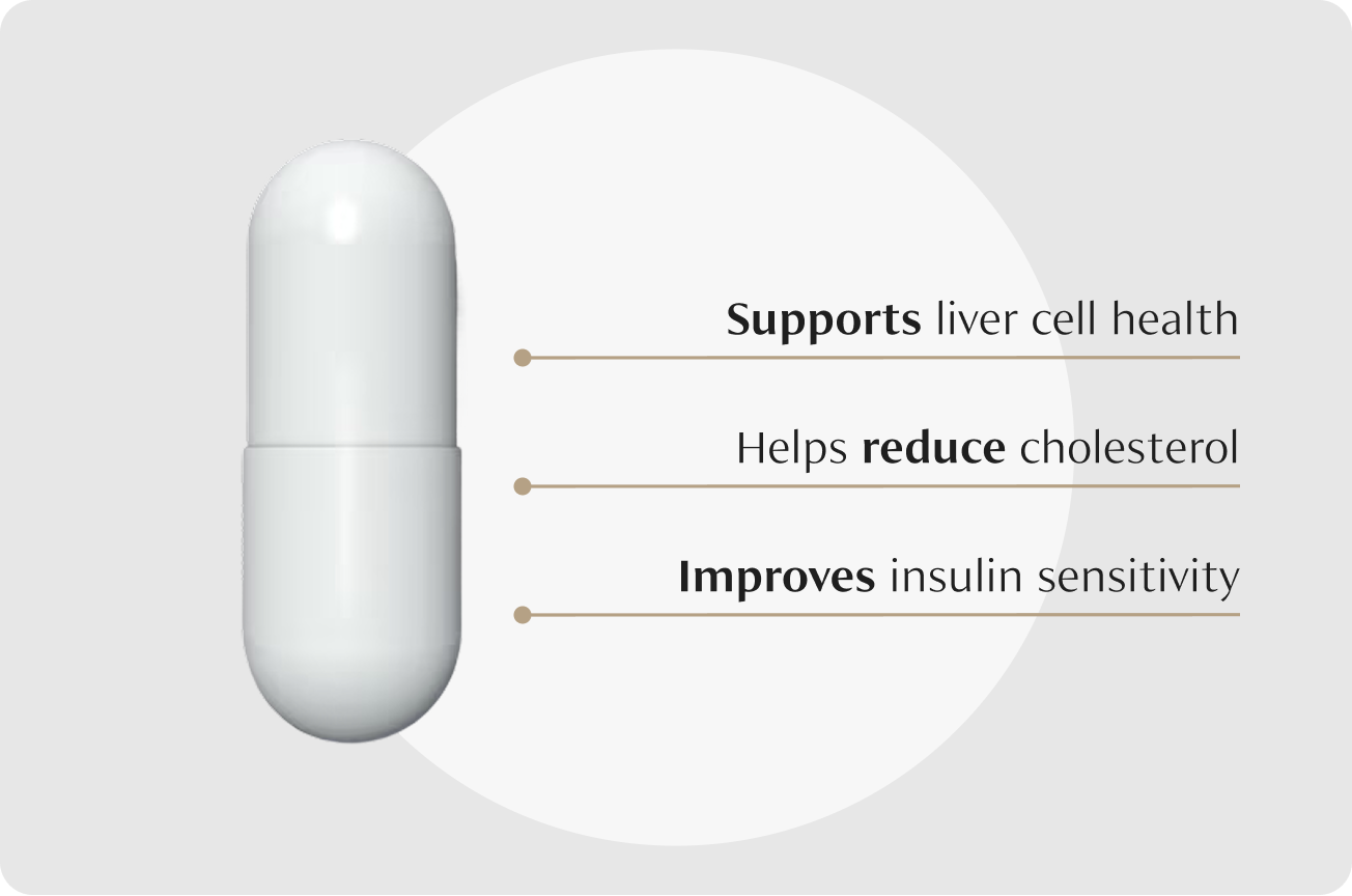 How TUDCA Can Help You